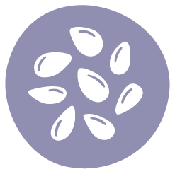 Alergen Seminte de susan / Allview ERA Food